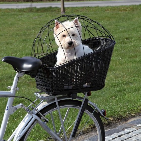 TRIXIE Košík pre psa na bicykel 35 x 49 x 55 cm čierny