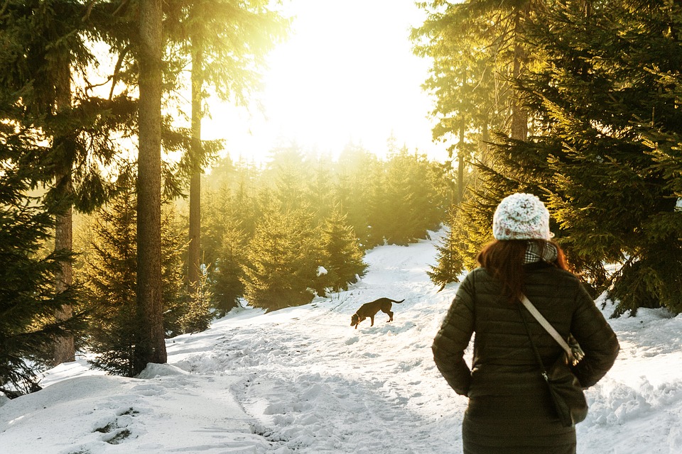 Zimné prechádzky so psom môžu byť zábavné, keď sa na ne správne pripravíte.