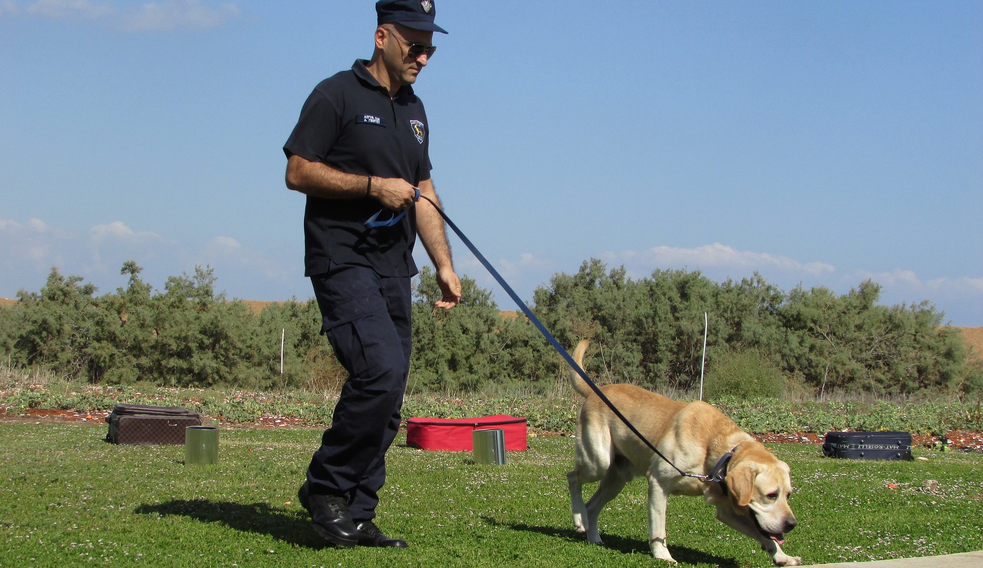 Policajný pes je na určité činnosti trénovaný od šteňaťa. Niektoré plemená, napríklad nemecký ovčiak, sú úžasné na prácu v tejto službe.