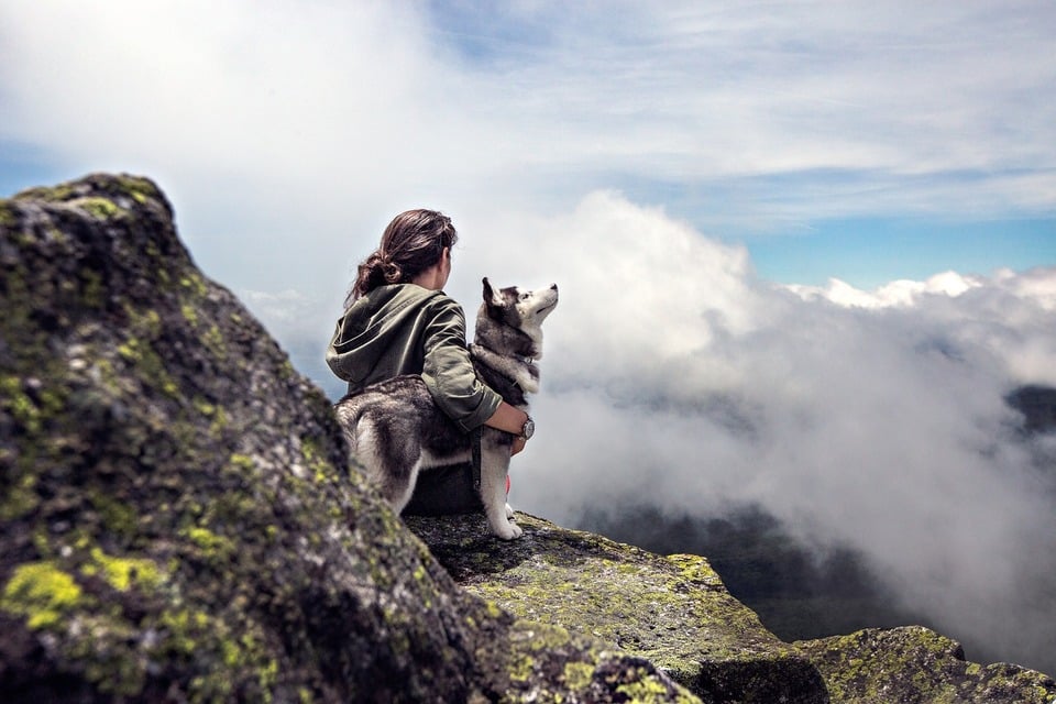 Husky sedí s opatrovníkom na vrchole hory. Pre psy tohto plemena je nevyhnutné veľa pohybu a úsilia.