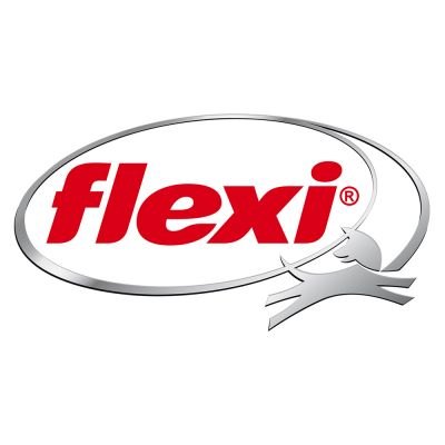 FLEXI logo
