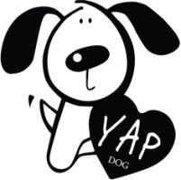 YAP logo