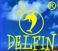 DELFIN logo
