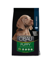 CIBAU Maxi Puppy 12 + 2 kg GRATIS
