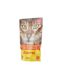 JOSERA Vývar s mrkvou a špenátom 70 g