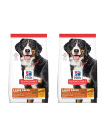 HILL'S Science Plan Adult Dog Large Dry Chicken 2 x 14 kg