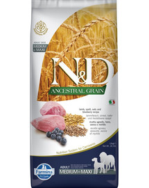N&D LG Dog Adult M/L Lamb & Blueberry 12 kg