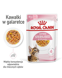 ROYAL CANIN Kitten Sterilised 48 x 85 g
