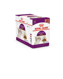 ROYAL CANIN Sensory Smell gravy 48x85 g kúsky v omáčke pre dospelé mačky na stimuláciu čuchu