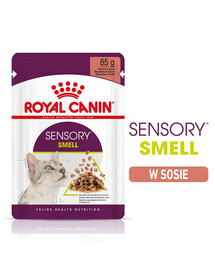 ROYAL CANIN Sensory Smell gravy 24x85 g kúsky v omáčke pre dospelé mačky, ktoré stimulujú čuchové vnemy