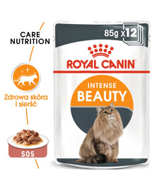 ROYAL CANIN Intense Beauty Gravy 48x85g