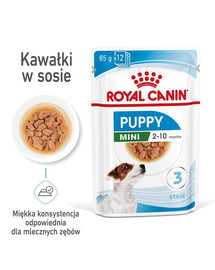 ROYAL CANIN Mini puppy 24x85 g