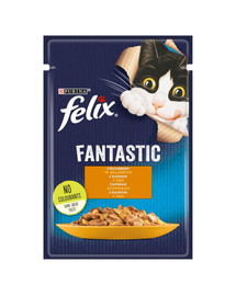 FELIX FANTASTIC Kuracie želé pre mačky 85 g