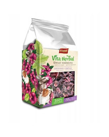 VITAPOL Vita Herbal Ibištek pre hlodavce a králiky 70g