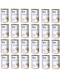 BRIT Veterinary Diet Gastrointestinal Salmon&Pea krmivo pre psov s citlivým tráviacim systémom 24x400 g