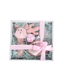 BARRY KING Darčeková súprava pre psov 5v1 ružová