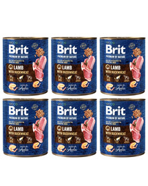 BRIT Premium by Nature Lamb & Buckwheat 6x800 g