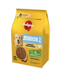PEDIGREE Junior 2,6 kg s hydinou a zeleninou pre dospievajúcich psov veľkých a stredných plemien
