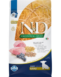 N & D LG Dog Puppy Mini Lamb & Blueberry 2,5 kg