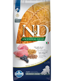 N&D Dog LG puppy medium & maxi lamb & blueberry 12 kg
