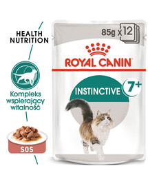 ROYAL CANIN Instinctive +7 48x85g
