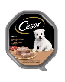 CESAR Junior morčacie a teľacie 150 g