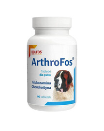 DOLFOS Arthrofos Doplnok stravy pre zdravé kĺby