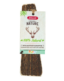 ZOLUX PUPPY Jelenie parohy brúsené hrany