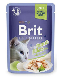 BRIT Premium Cat  Fillets in Jelly krmivo so pstruhom pre mačky 24x85 g
