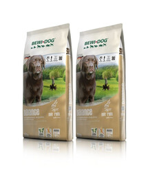 BEWI DOG Balance 2 x 12,5 kg