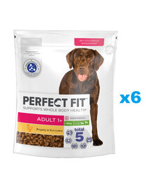 PERFECT FIT Adult 1+ kompletné suché krmivo pre dospelých psov veľkých plemien, bohaté na kuracie mäso 6x825g