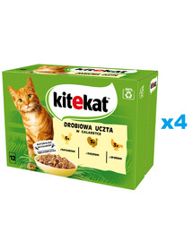 KITEKAT Hydinové hody sáčok 48x85 g kompletné krmivo pre dospelé mačky s kuracím, morčacím a hydinovým mäsom v želé