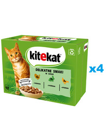 KITEKAT Delikatne Smaki vrecko 48x85 g kompletné mokré krmivo pre dospelé mačky s morkou, králikom a hydinou v omáčke