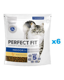 PERFECT FIT Indoor 1+ 6x750 g kompletné suché krmivo pre dospelé mačky bohaté na kuracie mäso