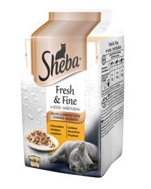 SHEBA Fresh & Fine 6x50g mokré kompletné krmivo pre dospelé mačky v omáčke s kuracím a morčacím mäsom