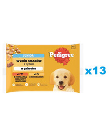 PEDIGREE Junior Wybór Smaków z ryżem saszetki 52x100 g mokra karma pełnoporcjowa dla szczeniąt, kawałki z mieszanką wołowiny i wątróbki i ryżem, z kurczakiem i ryżem, w galaretce