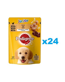 PEDIGREE Junior kapsičky 24x100g mokré krmivo pre šteňatá v kúskoch želé bohaté na kuracie mäso