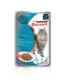 BENEK Super filé v omáčke s pstruhom 85 g