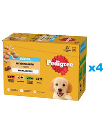 PEDIGREE Junior Wybór smaków z ryżem saszetki 48x100g mokra karma dla szczeniąt w galaretce z kurczakiem, jagnięciną, drobiem i wołowiną