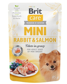 CARE Mini Adult Pouch Rabbit&Salmon 24x85g z królikiem i łososiem dla psów małych ras