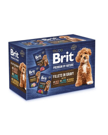 BRIT Premium by Nature Filety v omáčke Multipack 12×85g Kompletné krmivo pre dospelého psa