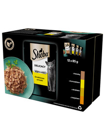 SHEBA Delicacy in Jelly krmivo pre mačky s hydinovou príchuťou v omáčke 12x85g