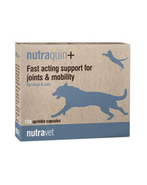 NUTRAVET Nutraquin+ 120 kapsúl na kĺby pre psov a mačky