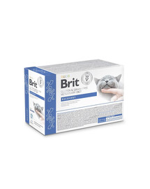BRIT Veterinary Diet Grain Free Recovery Cat Fillets in Gravy Salmon 12x85g pre mačky v období rekonvalescencie