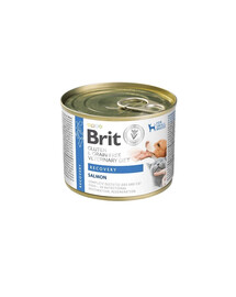 BRIT Veterinary Diet Grain Free Recovery 200 g losos a kuracia pečeň pre psa a mačku v období rekonvalescencie