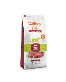 CALIBRA Dog Life Junior Large Fresh Beef 12 kg pre juniorov veľkých plemien s hovädzím mäsom