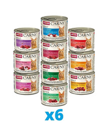 ANIMONDA Carny mix 10 smaków 60 x 200 g