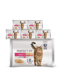 PERFECT FIT Adult 24x85g vrecko – krmivo pre mačky v omáčke (s kuracím mäsom a hráškom, s hovädzím mäsom a mrkvou)
