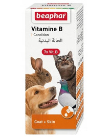 BEAPHAR Vitamínový komplex B Sada vitamínov B 50 ml
