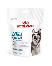 Joint Ageing Adult Dog Supplements 240g suplement na prawidłowe funkcjonowanie stawów dla dorosłych psów